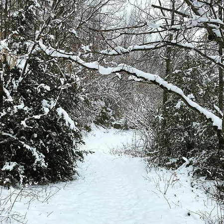 Duplex En Fundanal En *