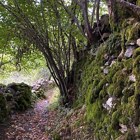 شقة Duplex En Fundanal En *