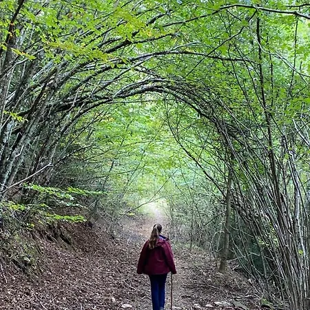 Duplex En Fundanal En *