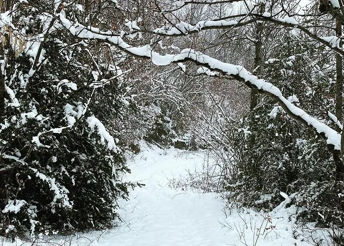 Duplex En Fundanal En *