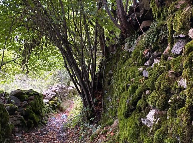 아파트 Duplex En Fundanal En *