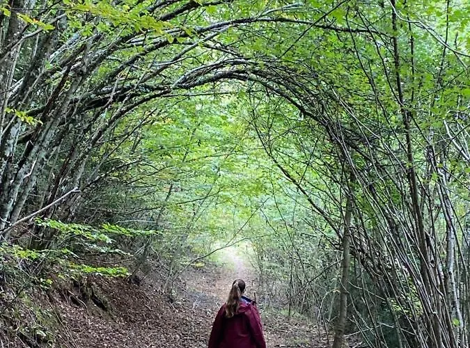 Duplex En Fundanal En *