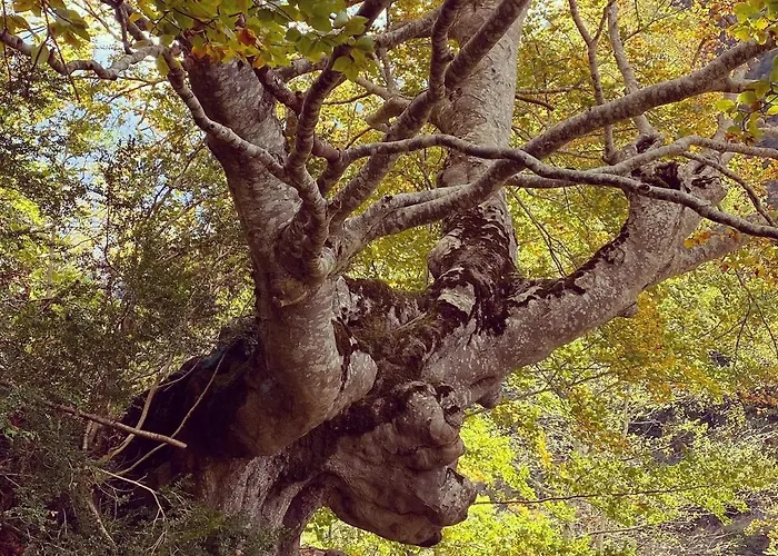 Duplex En Fundanal En * Hoz de Jaca